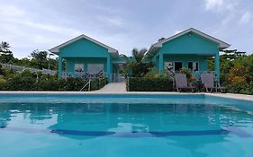 Blue Lizard House